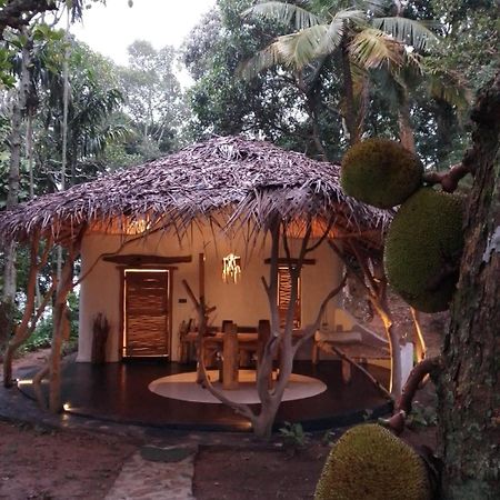 Ella Retreat Hotel Villa For Nature Lovers Buitenkant foto