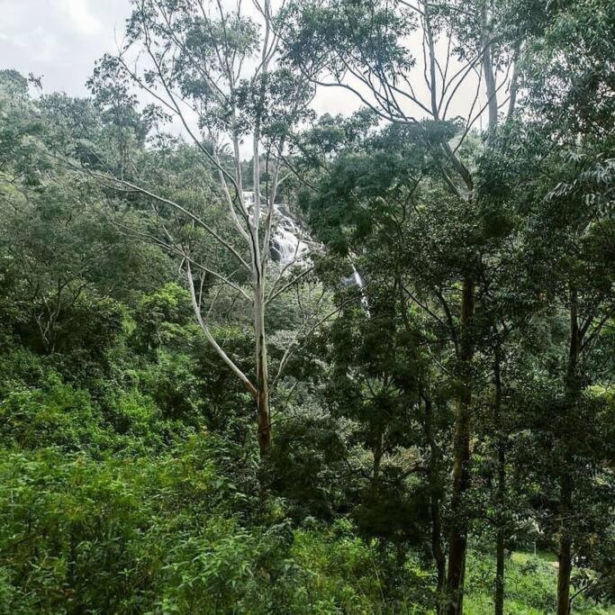 Ella Retreat Hotel Villa For Nature Lovers Buitenkant foto